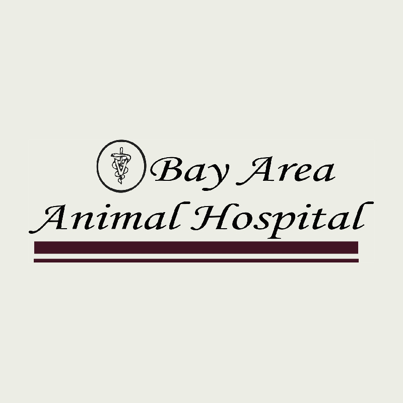 $25.00 Bay Area Animal Hospital/Bay Area Pet Spa Gift Certificate